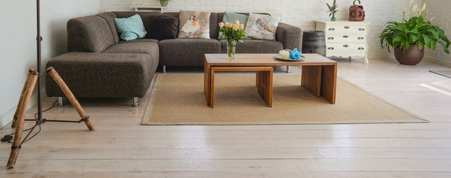 servicios de limpieza domestica salón